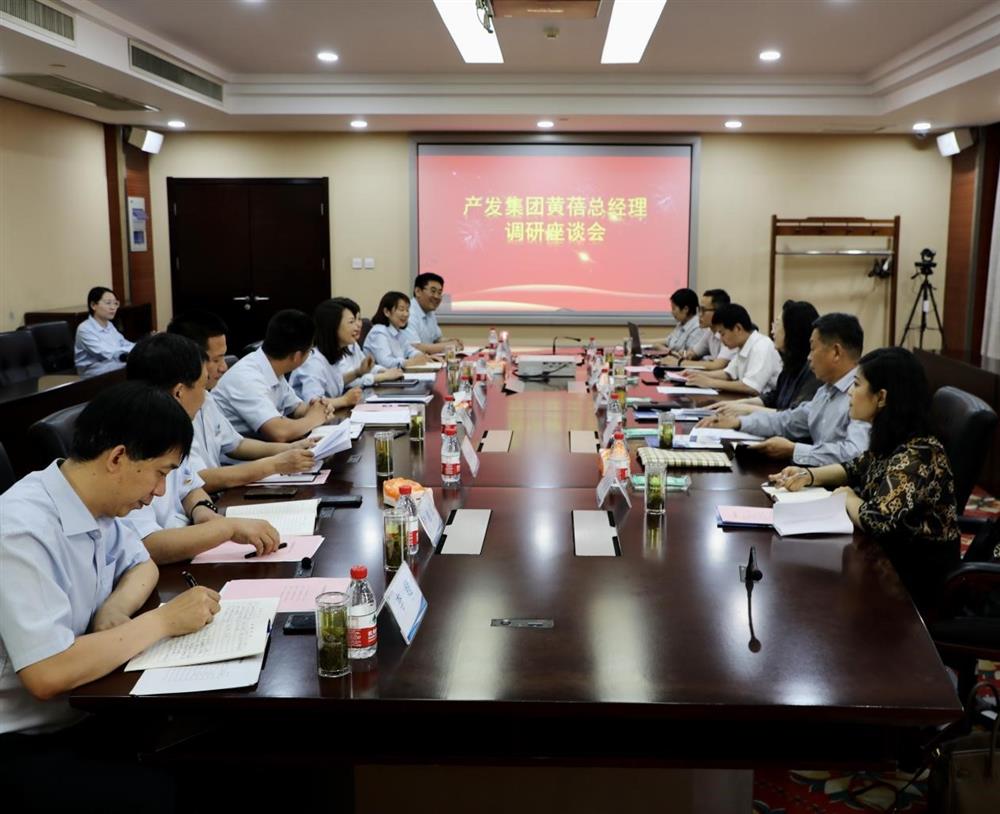 团体党委副布告、总司理黄蓓带队调研济南市工程征询院